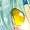 ʃsJ[h